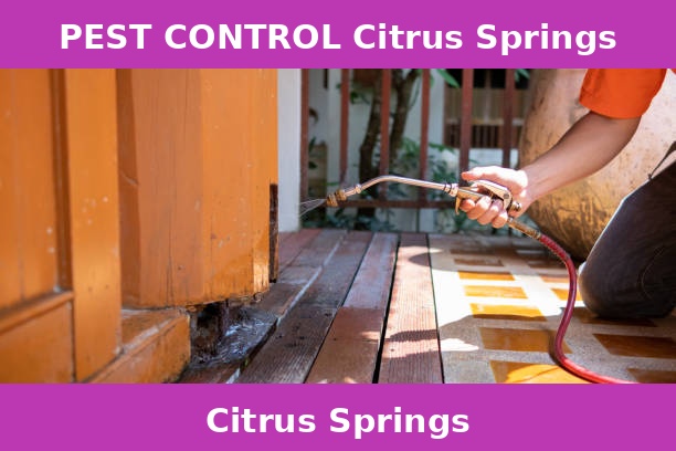 PEST CONTROL Citrus Springs